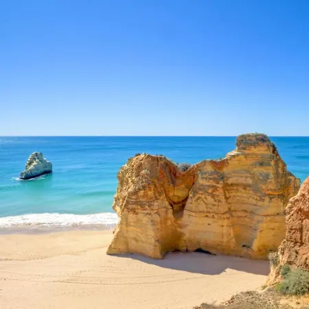 Coelho 阿尔布费拉